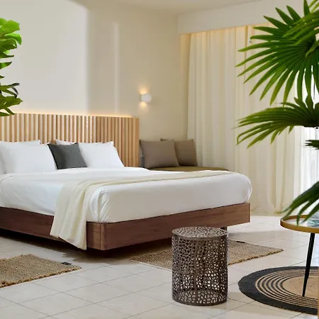 Alykanas Grand By Zante Plaza Hotel 4*